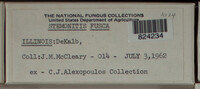 Image Associated With the Occurence